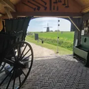 De Museummolen
