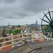 Museummolen De Walvisch
