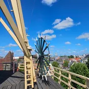 Museummolen De Walvisch