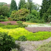 Nationaal Bomenmuseum Gimborn | Stichting Von Gimborn Arboretum