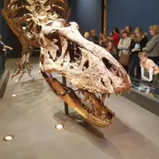 Naturalis Biodiversity Center