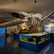 Natuurcentrum Ameland