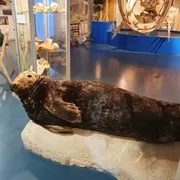 Natuurcentrum Ameland