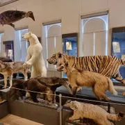 Natuurhistorisch Museum Rotterdam