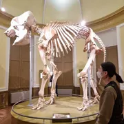 Natuurhistorisch Museum Rotterdam