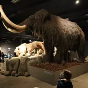 Stichting Natuurmuseum Brabant