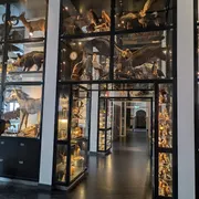 Stichting Natuurmuseum Brabant