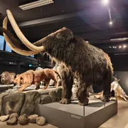 Stichting Natuurmuseum Brabant