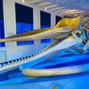 Natuurmuseum Fryslân