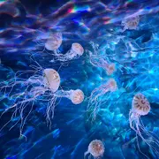 Natuurmuseum Fryslân