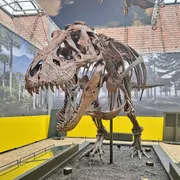 Natuurmuseum Fryslân