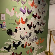 Nederlands Pluimveemuseum