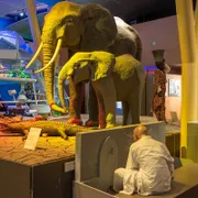 Nederlands Watermuseum