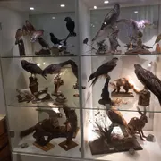Schoonewelle Museum voor Natuur en Ambacht