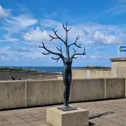 Museum Beelden aan Zee