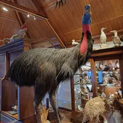 Museum Natura Docet