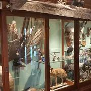 Museum Natura Docet