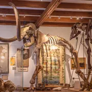 Museum Natura Docet