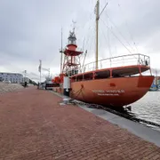 Ramtorenschip "Buffel"
