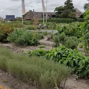 Streekmuseum Veldzicht