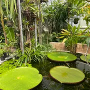 TU Delft Hortus Botanicus