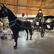 Texels erfgoedmuseum Waelstee