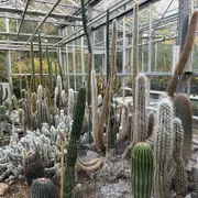 Trompenburg Tuinen & Arboretum