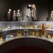 Universiteitsmuseum Groningen