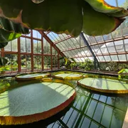 Universiteitsmuseum Utrecht | UMU