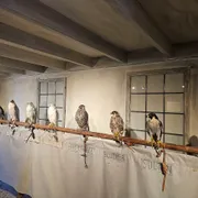 Valkerij en Sigarenmakerij Museum