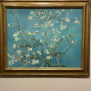 Van Gogh Museum