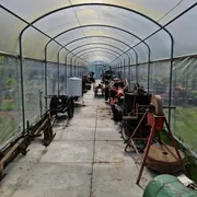 ZeeuwsFruitMuseum