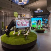 Gouda Cheese Experience