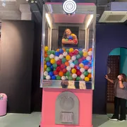 The Upside Down Amsterdam