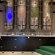 Heineken Experience