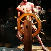 BODY WORLDS Amsterdam