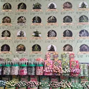 Cannabis Museum Amsterdam