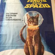 KattenKabinet