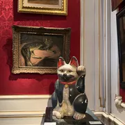 KattenKabinet