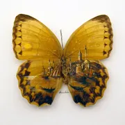 Miniatuur Museum Zwolle