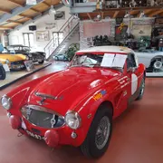 Healey Museum