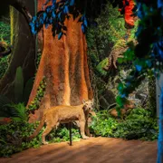 Suriname Museum