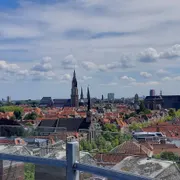 RADIUS, center for contemporary art and ecology