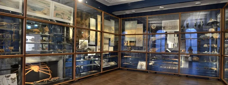 Japanmuseum SieboldHuis