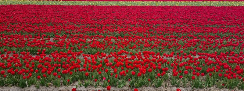 Streekmuseum Veldzicht