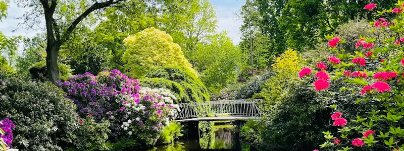 Trompenburg Tuinen & Arboretum