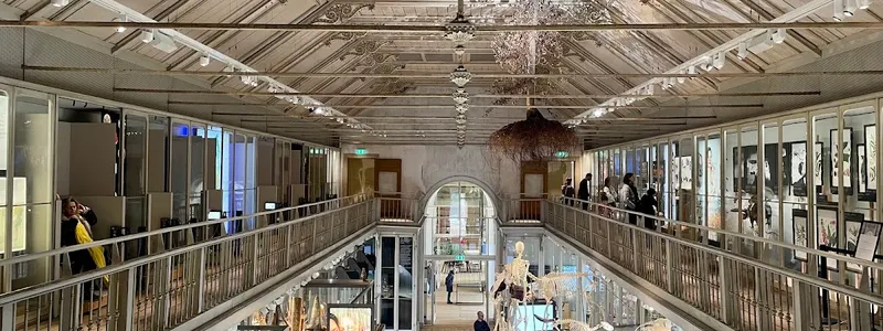 ARTIS - Groote Museum