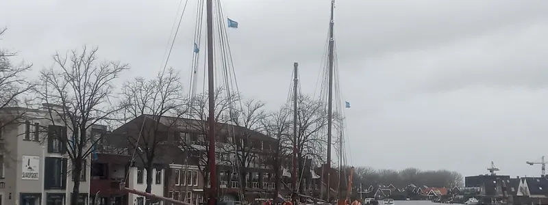 Stichting Schoonewelle