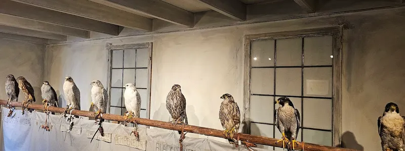 Valkerij en Sigarenmakerij Museum