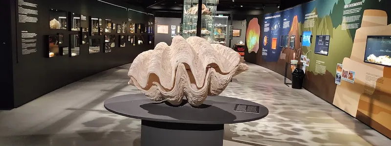 MuzeeAquarium